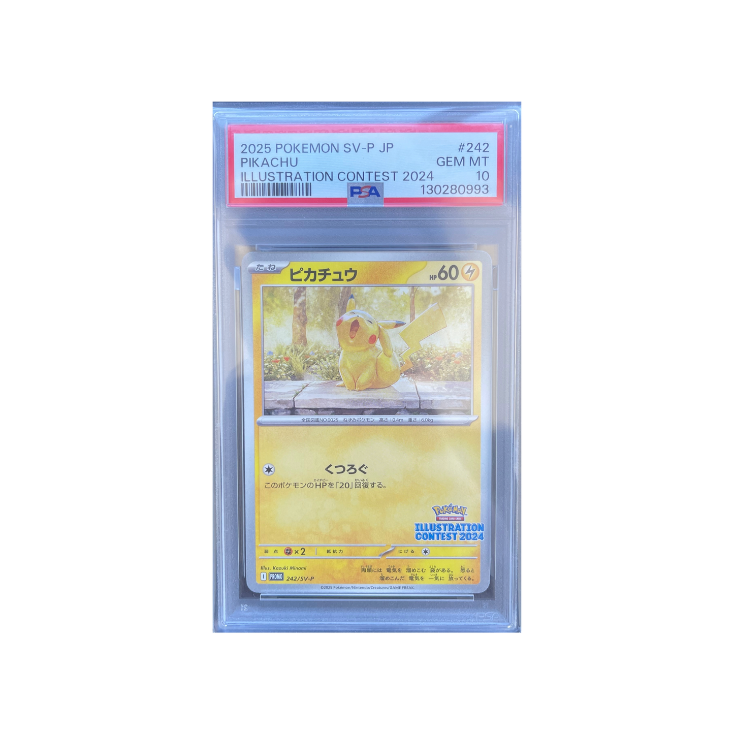 PSA 10 Pikachu 242/SV-P 2024 Illustration Contest (JP)
